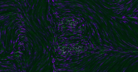 Purple and green swirling lines create a vortex pattern, forming dynamic circular shapes in a dark background. The colors and motion suggest a flowing, energetic visual effect.