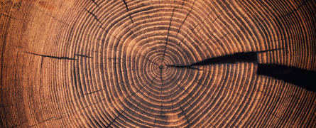 Unlock the Secret to Success: The Core Principles & Practices for Data Initiatives